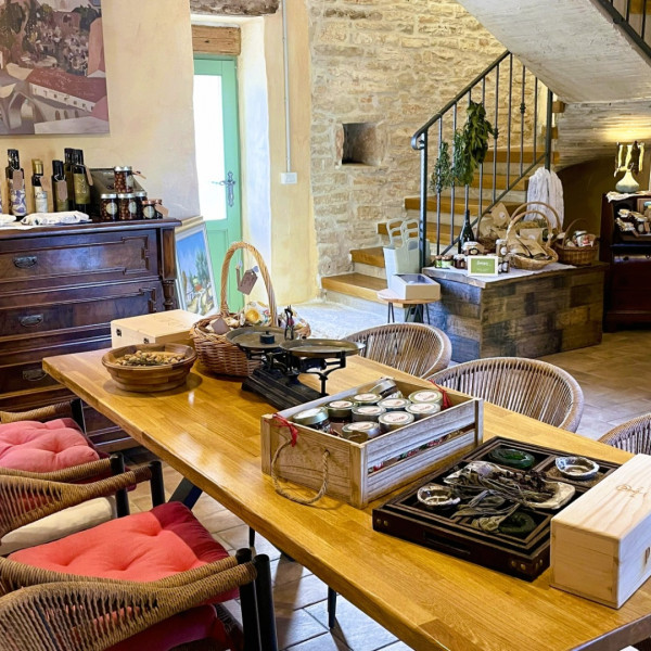 Botegin by IOSA &ndash; Olive Oil & Vinegar Tasting, Buscina Villas Umag